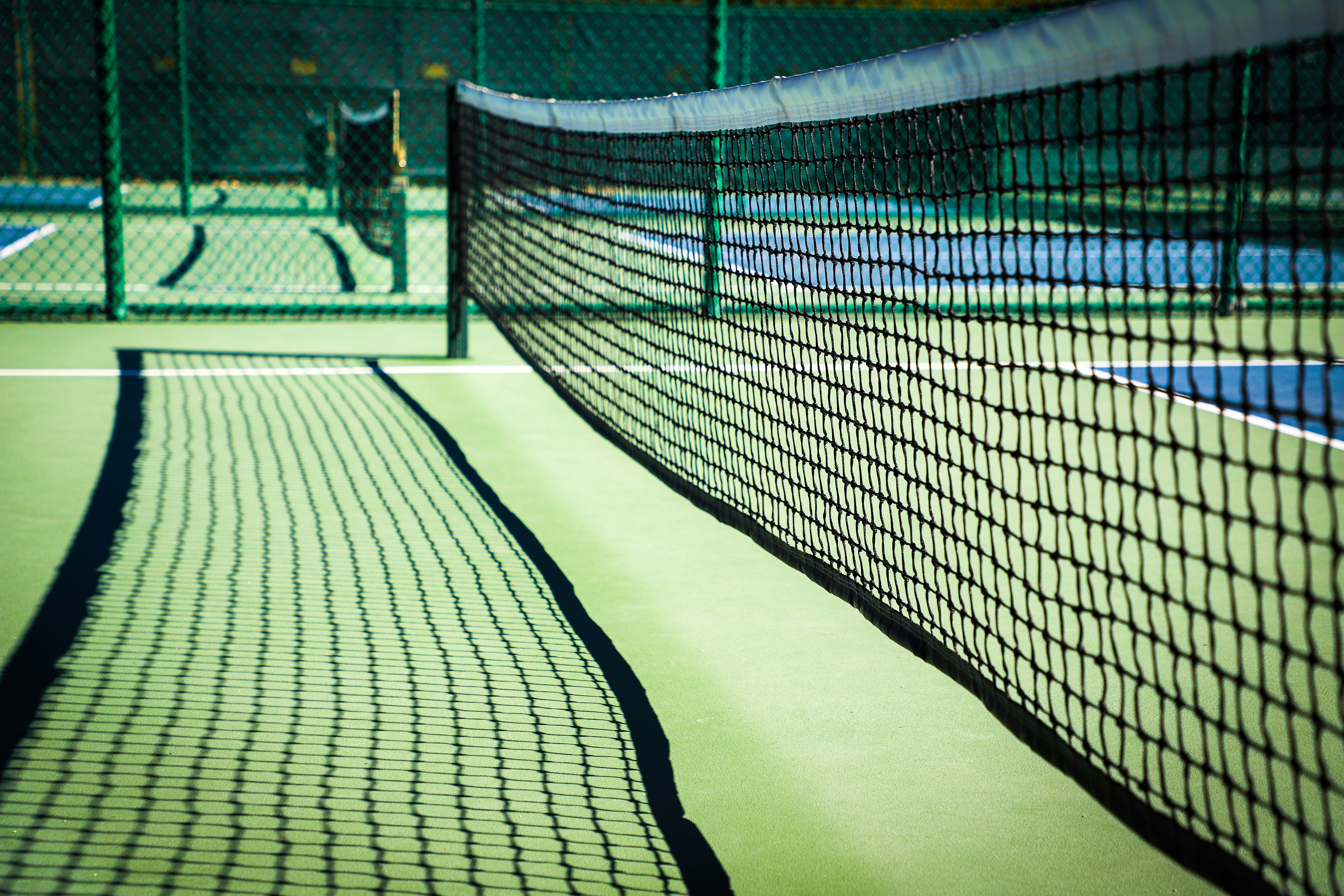 Custom backyard pickleball court in Michigan